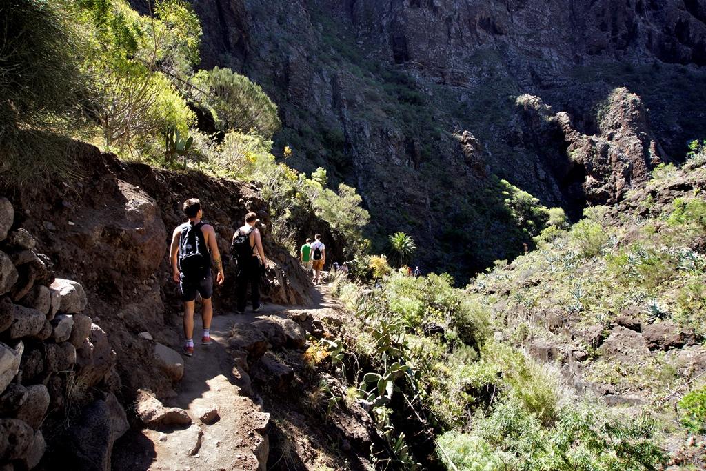 Supercharge in the Wilderness (Tenerife Hiking Guide)