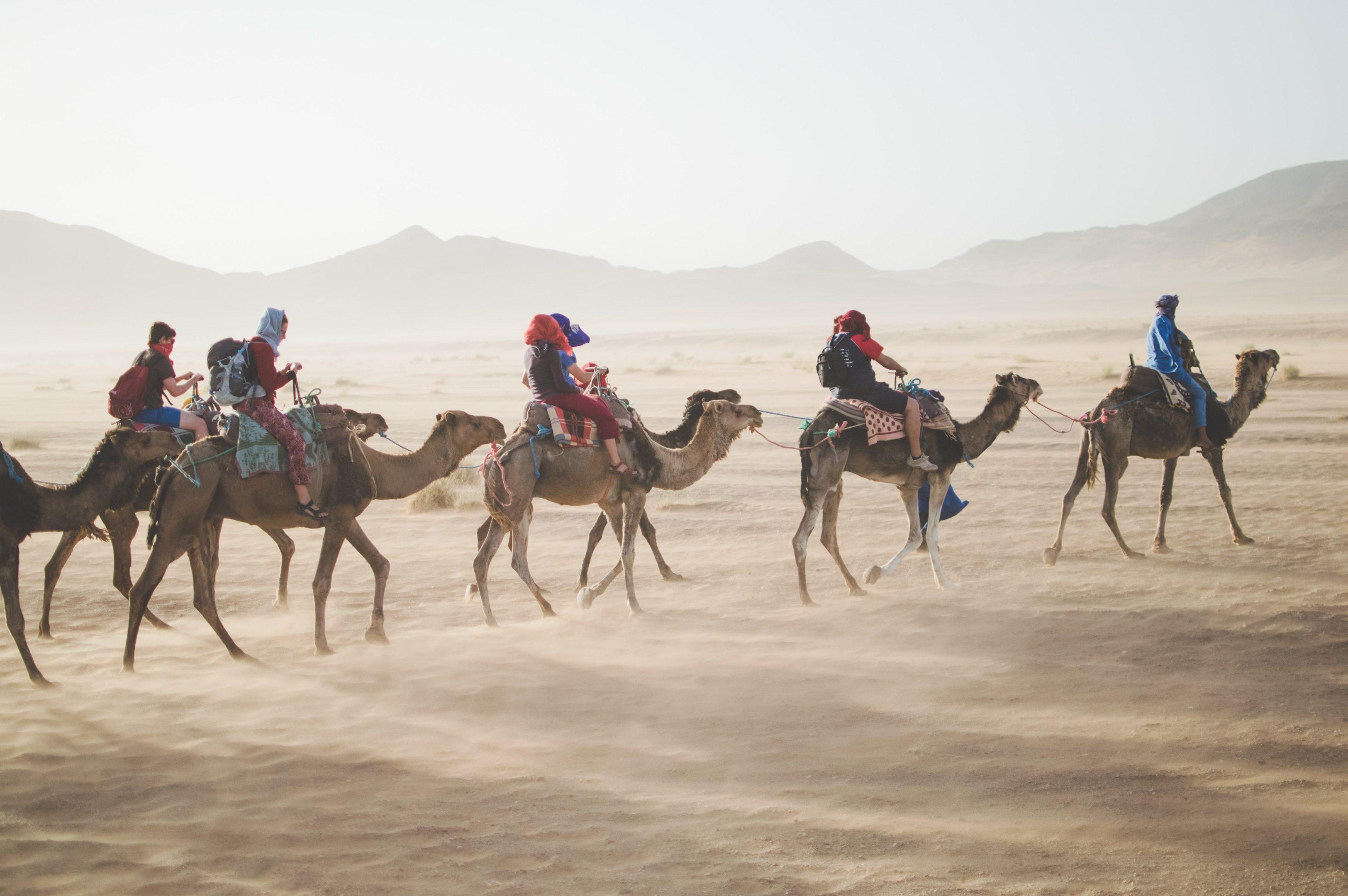 The Etiquette of Traveling (5 useful tips)